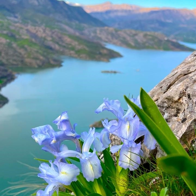 Ayı Nevruzu Gerger kayalıklarını renklendirdi