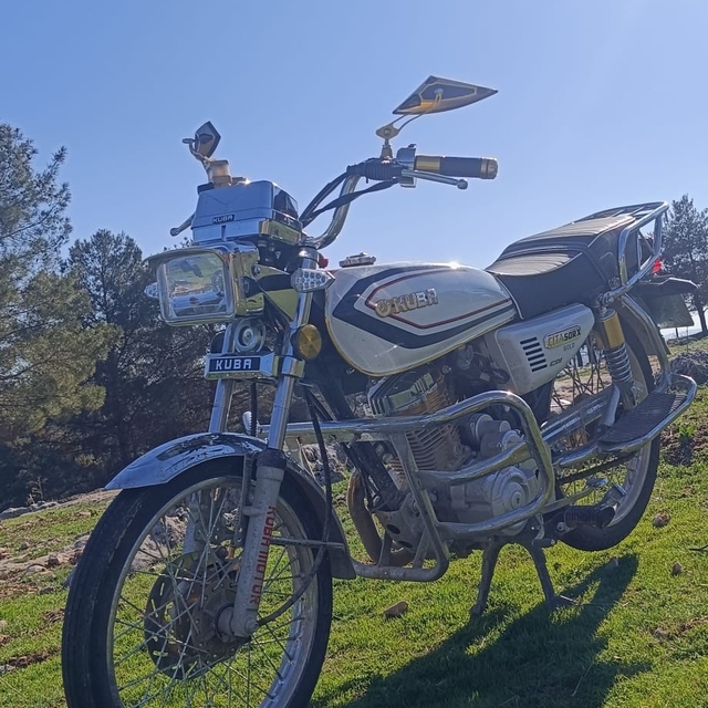 Park halindeki motosiklet çalındı