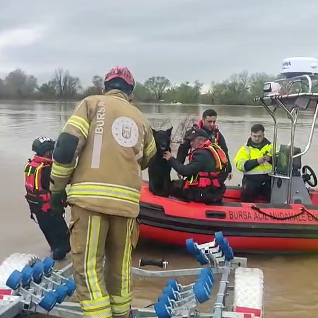Su baskınında mahsur kalan iki köpek botla kurtarıldı; o anlar kamerada
