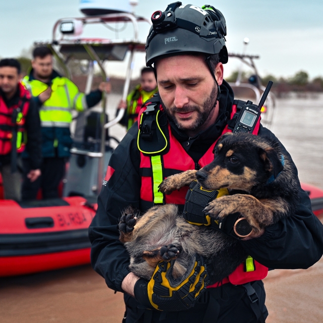 Bursa'da taşkın sırasında bağ evinde mahsur kalan köpekler kurtarıldı