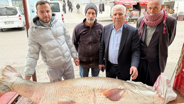 Diyarbakır'da 120 kiloluk turna balığı görenleri hayrete düşürdü