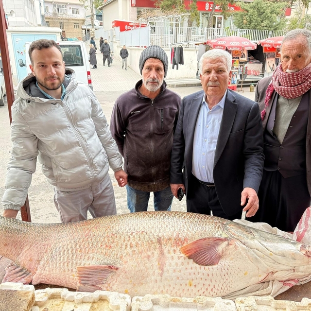 Diyarbakır'da 120 kiloluk turna balığı görenleri hayrete düşürdü
