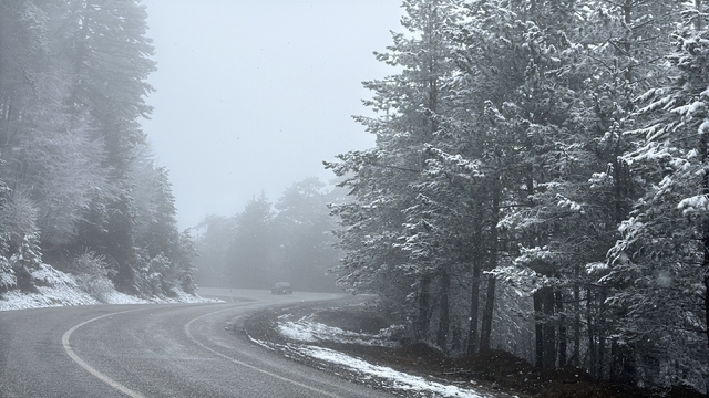 Kütahya'nın Domaniç Dağı'nda kar yağışı