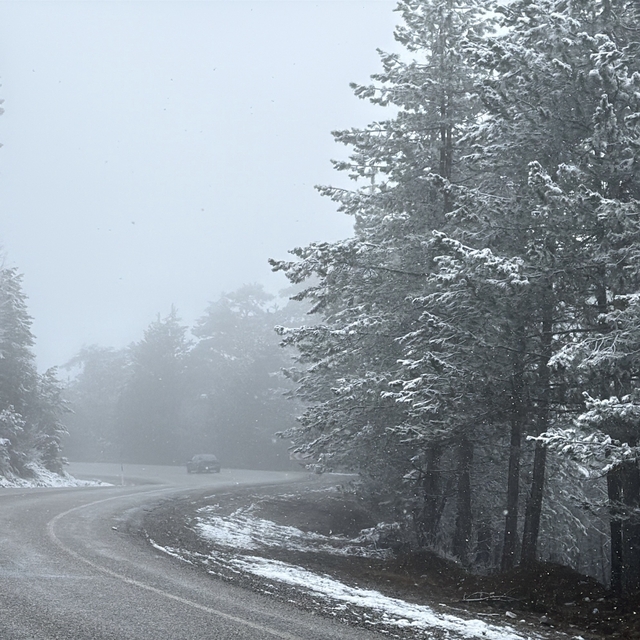 Kütahya'nın Domaniç Dağı'nda kar yağışı
