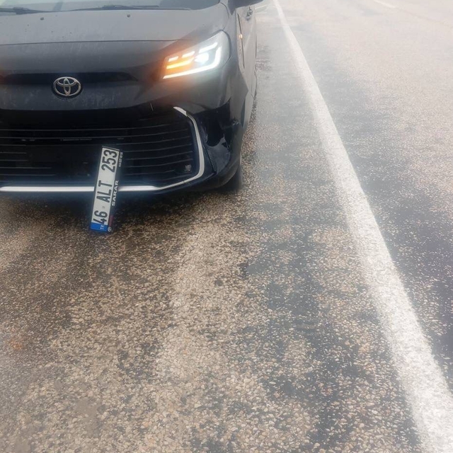 Köpeğe çarpan araç kaza yaptı: maddi hasar oluştu