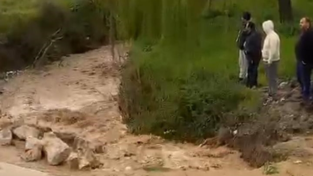 Kuraklığın ardından gelen sağanak İznik'i vurdu
Tarım arazileri sular altında kaldı