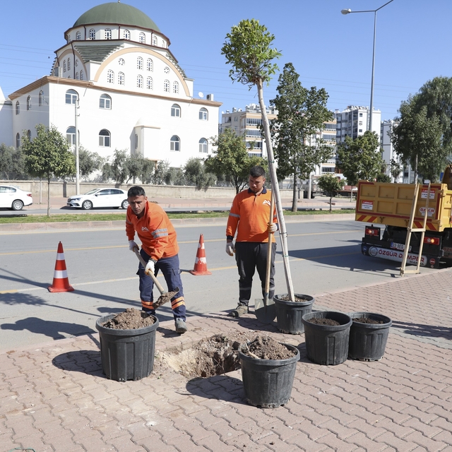 Mersin'de ağaçlandırma seferberliği başladı