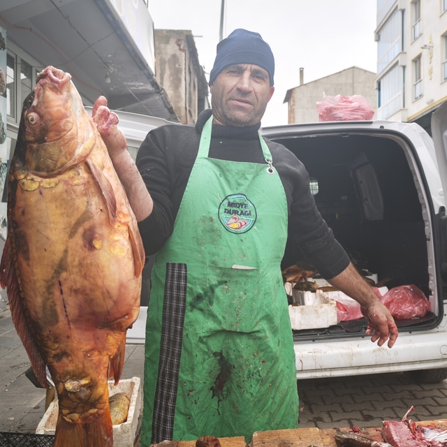 Ahlat'ta dev sazan balıklarına yoğun ilgi