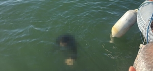 Akülü tekerlekli sandalyesiyle denize düşen kişi kurtarılamadı