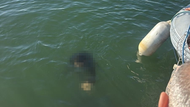 Akülü tekerlekli sandalyesiyle denize düşen kişi kurtarılamadı