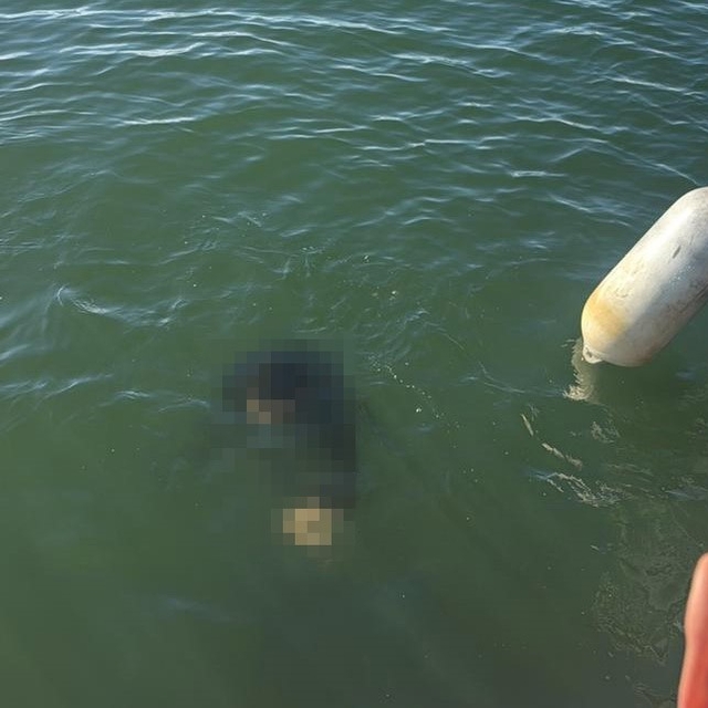 Akülü tekerlekli sandalyesiyle denize düşen kişi kurtarılamadı