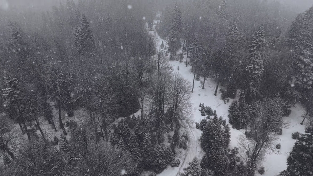 Düzce'nin yüksek kesimlerinde kar kalınlığı 1 metreyi buldu