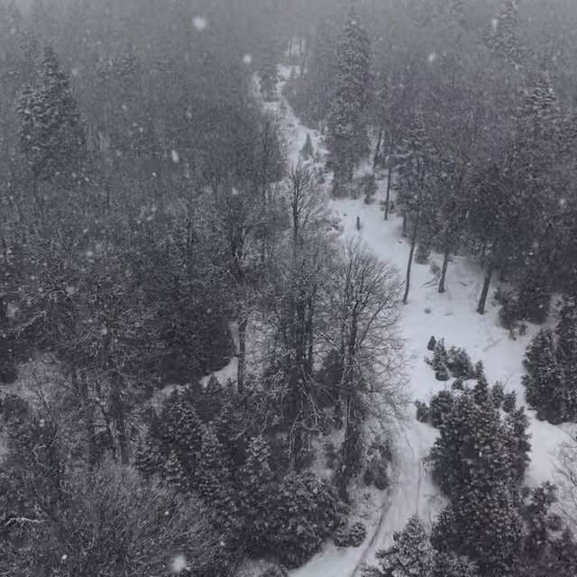 Düzce'nin yüksek kesimlerinde kar kalınlığı 1 metreyi buldu