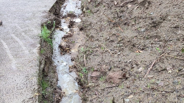 Dereye hayvansal atık bırakan çiftlikler yakalandı