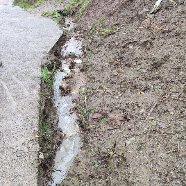 Dereye hayvansal atık bırakan çiftlikler yakalandı