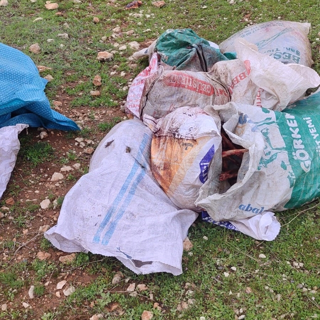 Şanlıurfa´da çuvallarda kesilmiş at başı bulundu