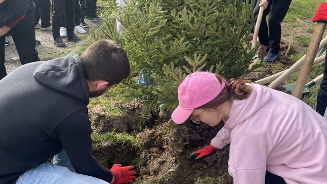 Geleceğe yeşil miras