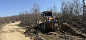Sinop'a yeni orman nakliye güzergahı
