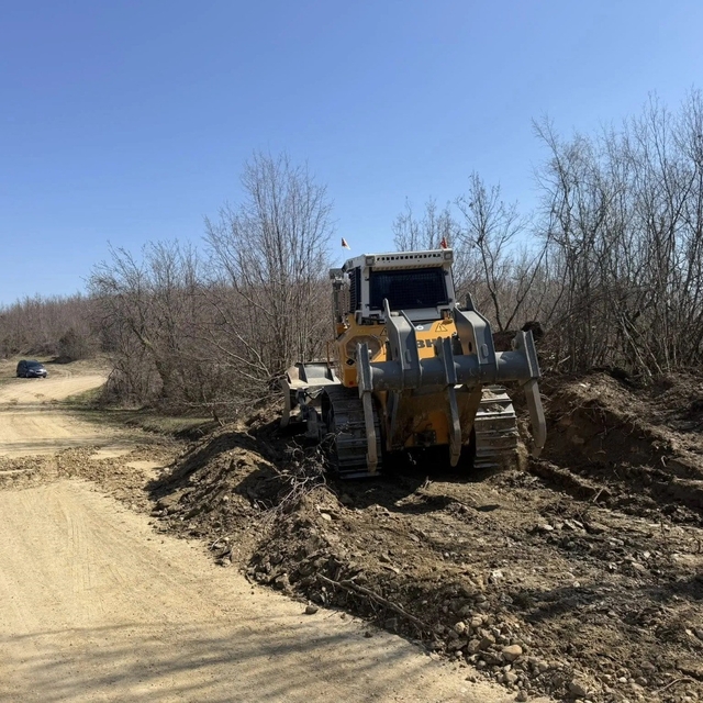 Sinop'a yeni orman nakliye güzergahı