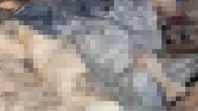 Bozüyük'teki barınak skandalına bir yenisi daha eklendi
Savcılığa şikayet üzerine avukat ve jandarma barınağı girdi, ölmüş 6 köpek ve 1 kedi bulundu