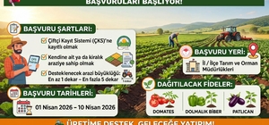 Siirt Tarım ve Orman Müdürlüğünden sebze fidesi başvurusu uyarısı