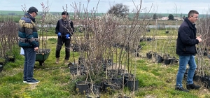 Lüleburgaz'da fidan satış noktalarına denetim