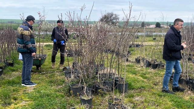 Lüleburgaz'da fidan satış noktalarına denetim