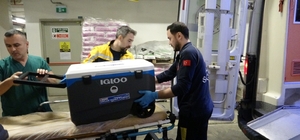 Taciz mağduru genç kızın bağışlanan organları 4 ayrı ile gönderildi