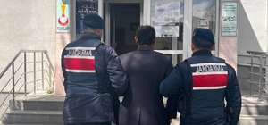 Kayseri'de köpeği ağaca asarak öldüren zanlı gözaltına alındı