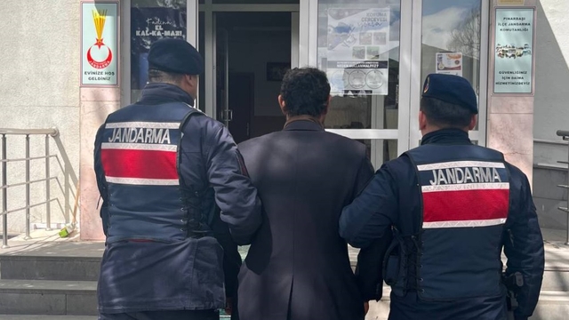 Çok yediğini iddia ettiği köpeğini ağaca asıp öldürdü (2)