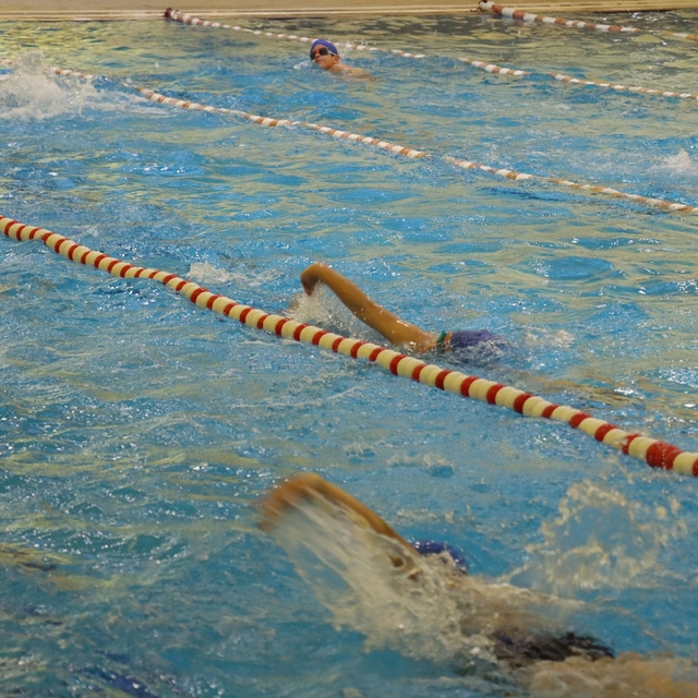 Şanlıurfa'da minik yüzücülerden 24 madalya