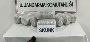Ağrı'da 10 kilogram skunk ele geçirildi, 1 şüpheli tutuklandı