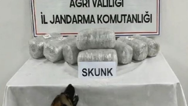 Ağrı'da 10 kilogram skunk ele geçirildi, 1 şüpheli tutuklandı