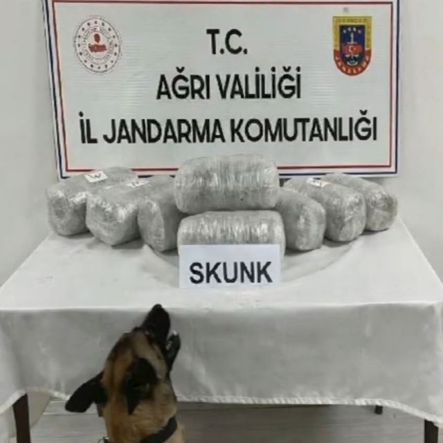 Ağrı'da 10 kilogram skunk ele geçirildi, 1 şüpheli tutuklandı