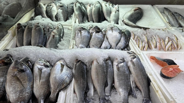 Kahramanmaraş'ta su ürünleri av yasağı başladı