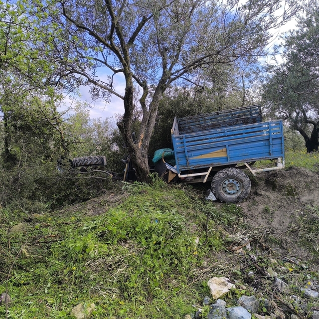 Zeytin bahçesine uçan patpatın sürücüsü öldü