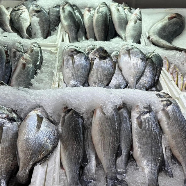 Kahramanmaraş'ta su ürünleri av yasağı başladı