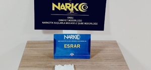 Ordu’da uyuşturucu operasyonunda 1 tutuklama