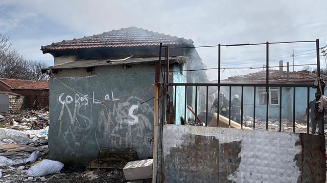 Tekirdağ'da yangın sırasında köpeğin ısırdığı çocuk hastaneye kaldırıldı