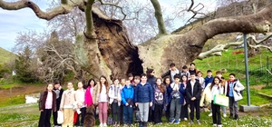 Gelibolu'da asırlık çınar altında "Kitap Kardeşliği" etkinliği