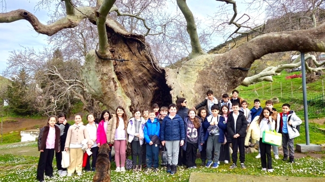 Gelibolu'da asırlık çınar altında "Kitap Kardeşliği" etkinliği