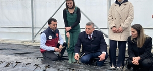 Sinop'ta IPARD desteğiyle kurulan serada ilk gül fidanları toprakla buluştu
