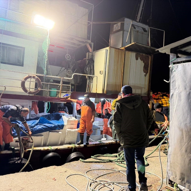 Altınkum ve Taşburun'da balıkçılara kota denetimi