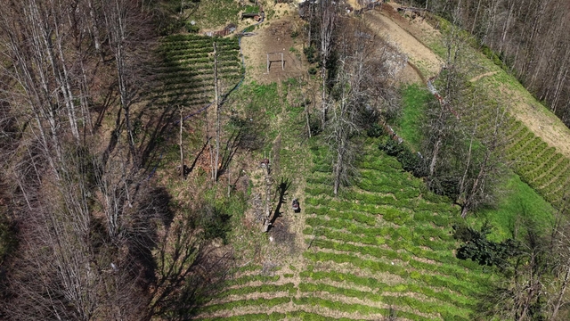 110 metrelik yolu olmadığı için evine 20 yıldır ilkel teleferikle gidiyor
