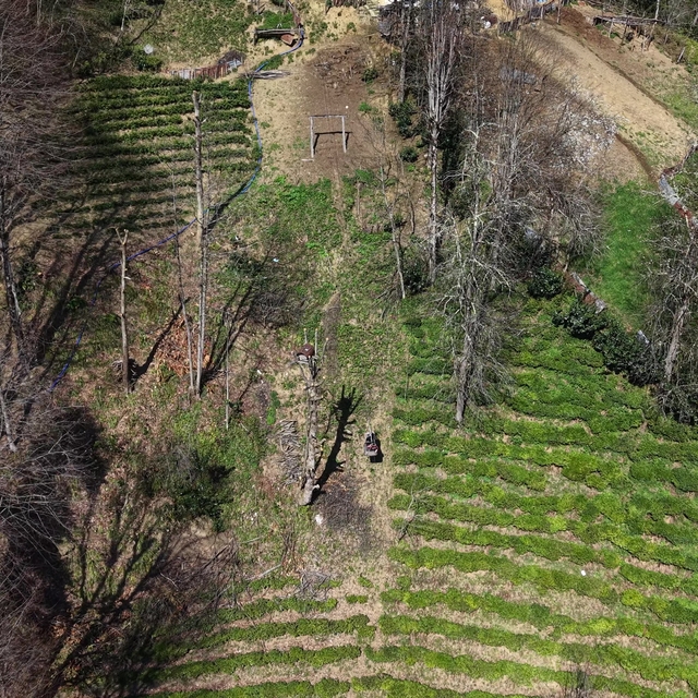 110 metrelik yolu olmadığı için evine 20 yıldır ilkel teleferikle gidiyor