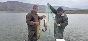 Elazığ’da su ürünleri araştırma çalışmaları sürüyor