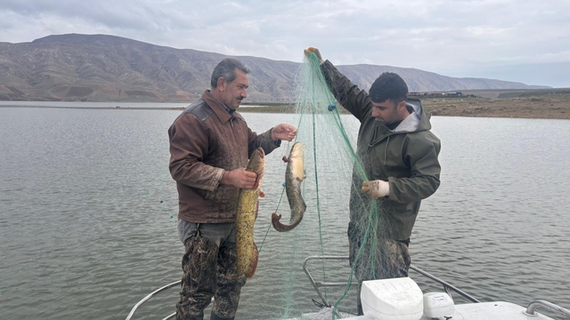 Elazığ'da su ürünleri araştırma çalışmaları sürüyor