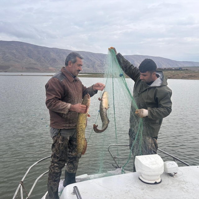 Elazığ'da su ürünleri araştırma çalışmaları sürüyor