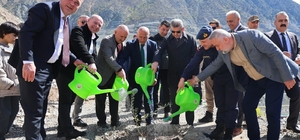 Artvin'de 450 Butko zeytini fidanı toprakla buluşturuldu