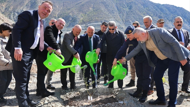 Artvin'de 450 Butko zeytini fidanı toprakla buluşturuldu